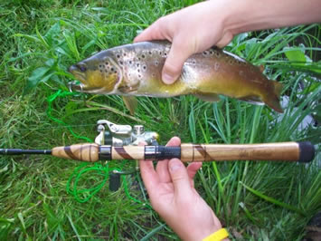 DLF Custom Fishing Rods  Gallery - DLF CUSTOM FISHING RODS